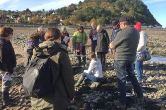 Shoresearch training at Minehead