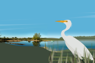 wetland illustration with egret in foreground