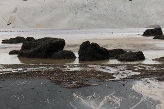 Mud paint 2