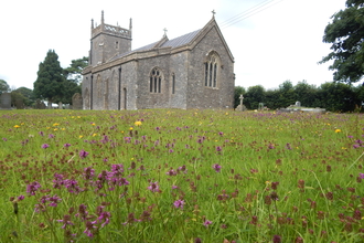 Church of St Laurence surrounded by a wildflower meadow