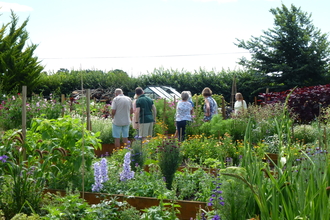 Guests enjoying a Wilder Open Garden