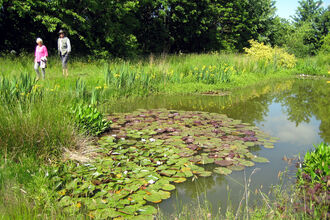 Guests walking around a pond at a Wilder Open Garden