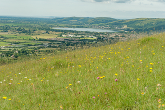 a meadow in the foreground with an expansive somerset landscape in the background