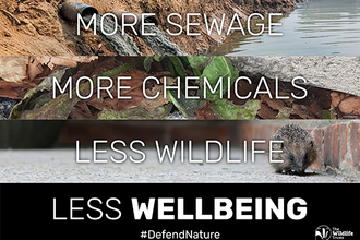 Image with text: more sewage, more chemicals + less wildlife, less wellbeing