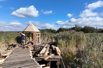 New boardwalk and viewing hides being built at Westhay Moor