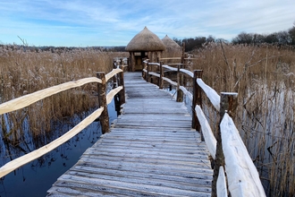 Wooden boardwark leading to newly completed accessible ‘island' viewing hide, Westhay Moor