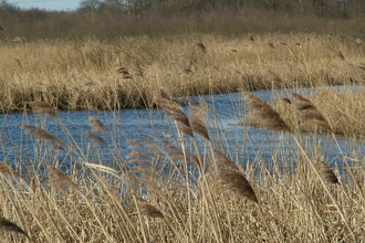 Landscape view over Westhay