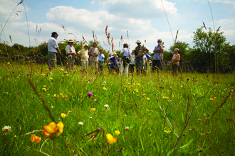 Group of adults in a meadow, looking at flowers