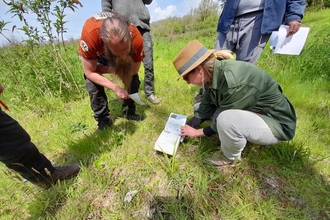 A group on a walk on the Mendips, crouching to identify flora. 