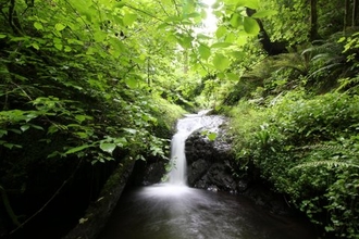 A short drop waterfall on the Quantock hills