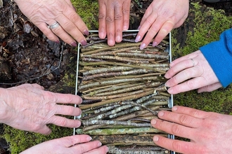 A group of people all reaching out to touch a pile of twigs in nature