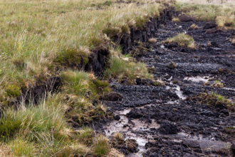 Damaged peatland landscape