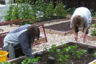 Growing Space, Balsam Centre