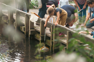 Children taking part in pond dipping
