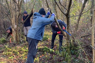 Neroche Woodlanders working in the woodland