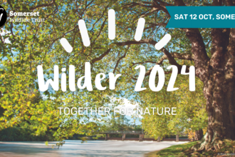 Wilder community forum 