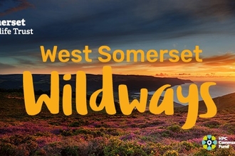 West Somerset Wildways