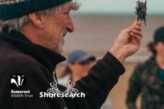 Shoresearch event header