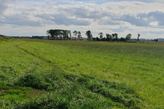 Mordon North BNG