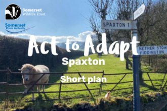Act to Adapt short plan FC SPAXTON