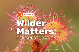 Wilder Matters: Peat Restoration