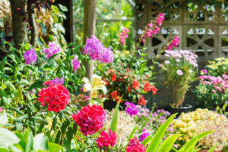 Garden filled with bright colourful flowers in pots and containers