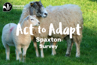 Act to Adapt survey FC SPAXTON