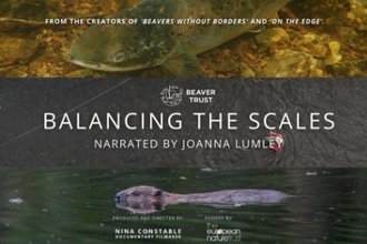 Poster for Balancing the Scales documentary