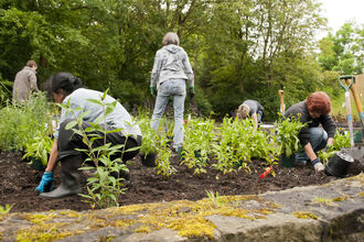 A group of people gardening together