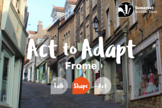 Act to Adapt: Frome