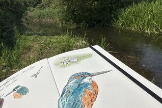 A painting of a kingfisher in a sketchbook, with a sketch of a grasshopper just above it