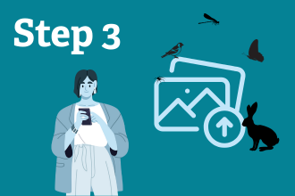 Step 3: Upload your images