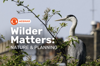 Wilder Matters: Nature and planning