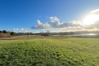 Picture of Brides Fields