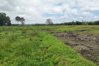peat field