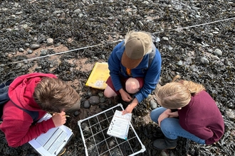3 young people squat round a quadrat on a rocky shore survey