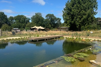 Picture shows an outdoor wildlife swimming pond, it looks like a normal outdoor swimming pool but has natural water, lily pads, and dragonflies around the perimeter