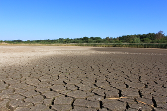 West scrape at Potteric Carr dried up