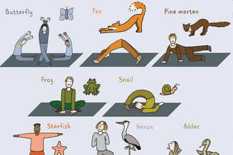 Hand-drawn cartoon wildlife yoga poses