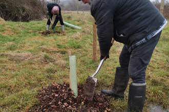 Bridies Farm tree planting event