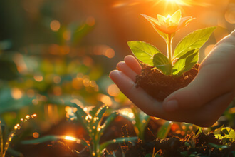 Reset, Balance and Healing Workshop at Avalon Marshes Centre