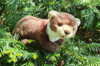 Pine Marten stuffed toy