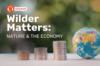 Wilder Matters: Nature and the economy FC