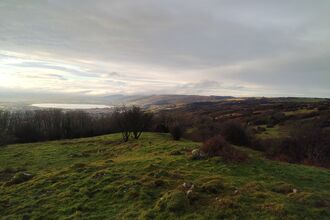 A wide view of Bubwith Acres