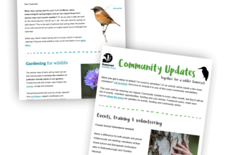 Examples of our eNews