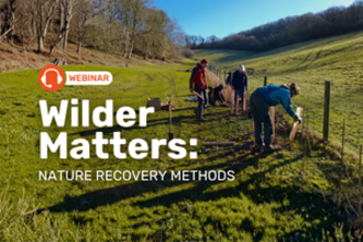 Wilder Matters: Nature Recovery Methods FC
