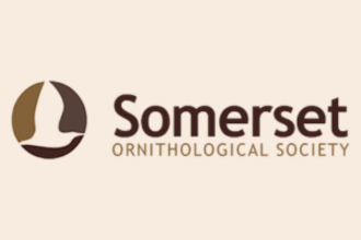 Somerset Ornithological Society logo
