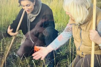 Blog from the bog