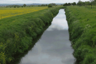 A view looking down the River Brue, Somerset
