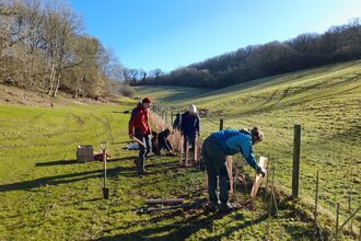 Mendip Farm Cluster members planting a hedgerow along a fenceline